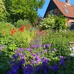 Апартаменты Wolkenkratzersuite Schonwalde am Bungsberg