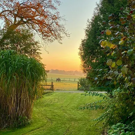 Wolkenkratzersuite * Schonwalde am Bungsberg